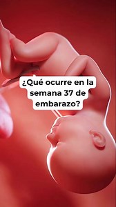 🤔 ¿Qué ocurre en la semana 37 de embarazo? 🤰 Síntomas y desarrollo del bebé #embarazosemanaasemana #embarazo #embarazosaludable #embarazofeliz | Blog del bebé