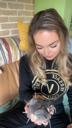 Adorable Compilation of Cute Rats on TikTok