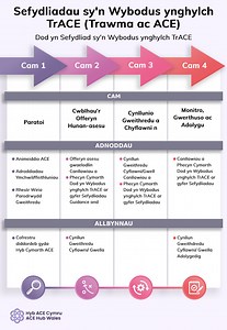 TrACE - ACE Hub Wales