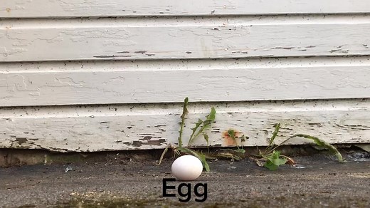 and i oop- on TikTok