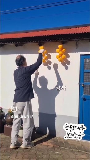 곶감만들기. 너~~~무 맛있다😄😄😄😄😄 대봉곶감. 삼척 맹방. 시골생활. 소소한 행복.