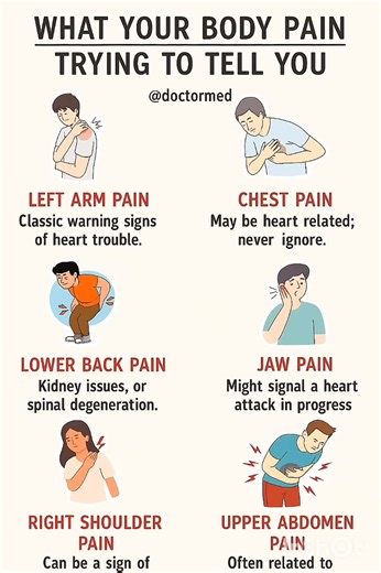What Your Body Pain Is Trying to Tell You | Hidden Signs of Serious Diseases You Should Never Ignore Your body gives warning signs before serious health problems occur — but most people ignore them! 😱 In this video, we reveal what your body pain is trying to tell you — from chest pain and jaw pain that may indicate heart trouble, to lower back pain linked with kidney issues. Learn how to recognize these early warning signs and take action before it’s too late. Stay informed, stay healthy, and s