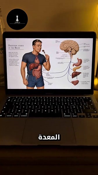 الدماغ هو أول عضو يهضم الطعام: كيف يحدث الهضم؟
