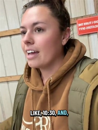 Understanding Nighttime Horse Care in the Barn