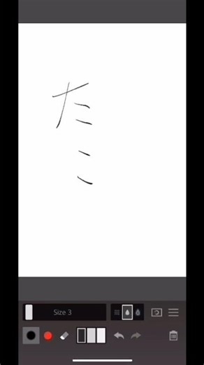 The difference between octopus and squid