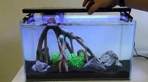 Easy scaping | Dymax