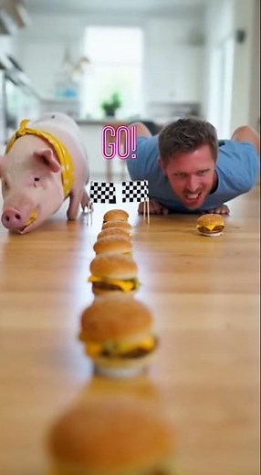 Man vs Pig: Giant Food Chaos Challenge