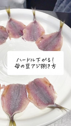 【母、豆アジ開くの秒すぎたw】骨や頭が無いから子供がいる家庭におすすめ！ #アジ #豆アジ #魚料理 #鯵レシピ #アジフライ #魚の捌き方 #豆あじの唐揚げ #わたしのライフハック