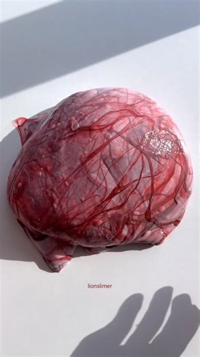 Lion | Organ slime🫁 | Instagram