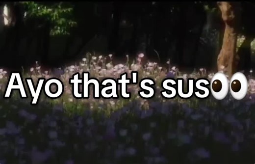 #funny #fyp #foryou #real #sus
