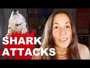 SHARK ATTACK explained - Why they happen and what to do