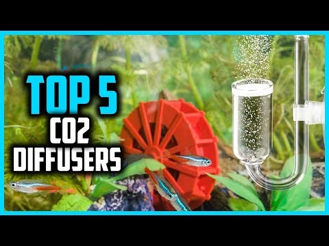 ✅ Top 5 Best CO2 Diffusers 2026