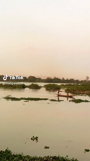 Malipawbdi TikTok'ta