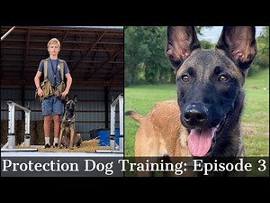 Teaching My Son To Train Protection Dogs Episode 3 | Malinois & Dutch Shepherd