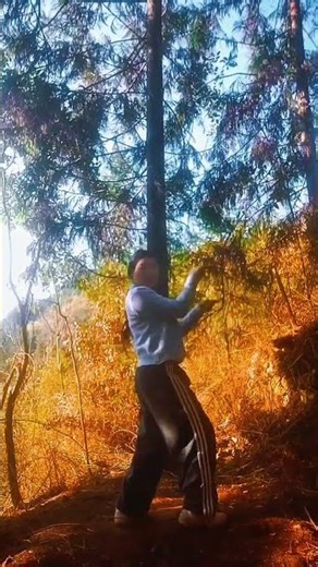 Why Can't I Stand You? A Dance Challenge by Evie Peach