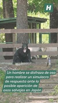 Simulacro para la caza de osos en Japón
