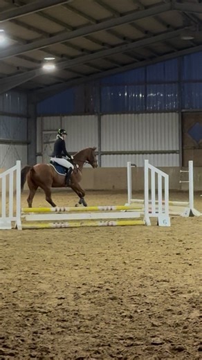 Erstes Springturnier mit 37 Jahren und das als Springanfängerin 🐴 Vor ein paar Monaten hätte ich jeden für verrückt erklärt der sagt „im Herbst reitest du Springturnier“ 😂 und dann noch mit meiner Reitbeteiligung mit dem Beinamen „Rakete“ der heiß wie Frittenfett wird im Pacours 😅 Dass ich mir das zutraue…. Ich bin einfach unfassbar stolz auf mich 🫶🏻 je älter man wird, desto mehr macht man sich einen Kopf und desto schwerer fällt sowas. Und dazu kommt ja noch meine Krebserkrankung 🙈 Ich bi