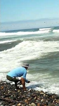 This Is How a True Master of the Sea Fishes: Incredible Cast Net Catch