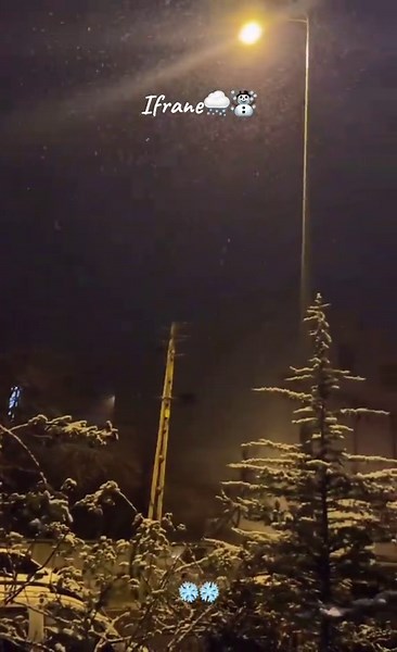#ifrane🇲🇦 #snow #photography #marocaine🇲🇦 #wintervibes