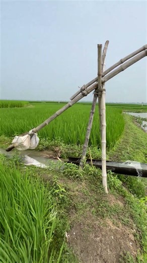 Old Traditional Water Irrigation System in village