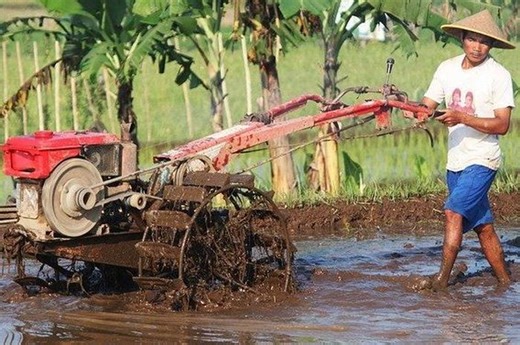 Cari Jawaban Materi Bahasa Indonesia Kelas 3 SD, Jelaskan Manfaat Teknologi Tepat Guna? - Bobo
