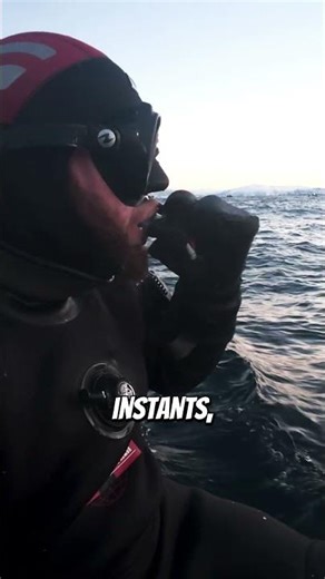 Plonger avec des orques sauvages, j'étais pas prêts !