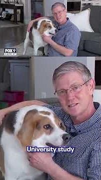 Short spined dogs in the spotlight after Jimothy goes viral