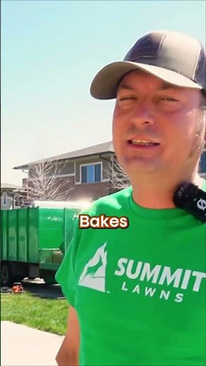 Is Rubber Mulch Safe to Use?