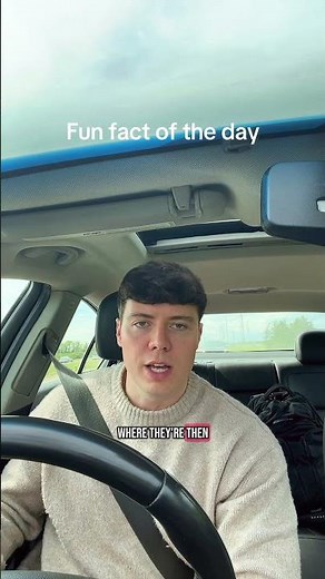 🚨 Shocking Gut Health Secrets: Why Whey Protein is Making You Gassy & Farts SMELL Worse! 🌫️💨