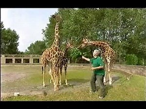 Science in Focus: Darwin's Evolution | Teaching Resources