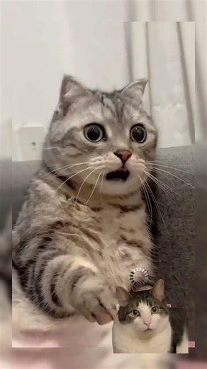 Human oops moments 🫠🫣👀