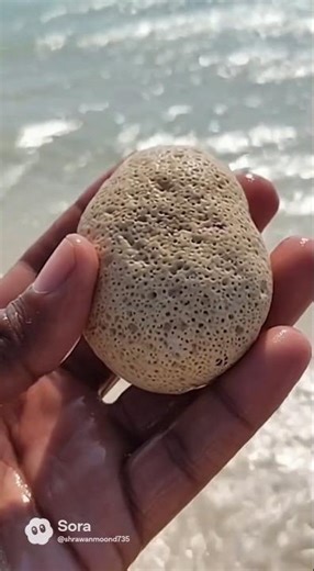 48km का सेतु जो हजारों साल से खड़ा है 🌉 #vlog #india #short