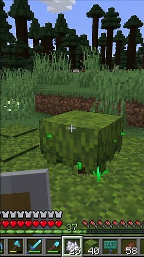 How To Grow Azalea Trees in Minecraft