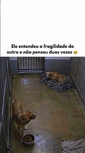 #reflexão #motivação #foryou #fyp