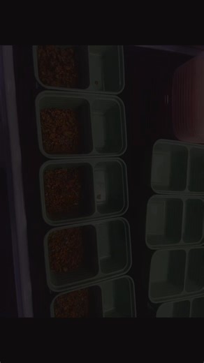 Cheesecake snack with fruit ~Oikos Triple Zero vanilla Greek yogurt ~Almond milk (I use this brand for cooking but california farms Is the best) ~Zero Sugar cheesecake pudding mix (Jello brand preferred) ~ Granola (can use graham crackers but I like the benefit of granola) and watch which granola brands you buy. Some are very high in sugar!! High in protein and low in sugar💪🏾 #healthyfood #healthysnacksrecipes #highproteindessert #LowSugarTreat #healthjourneycontinuesdhar | Sierra Denae