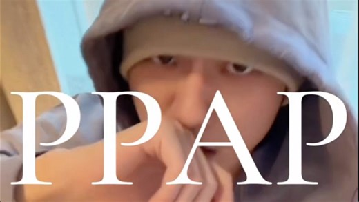 文艺复兴之抽象且洗脑的神曲PPAP(⁎⁍̴̛ᴗ⁍̴̛⁎)