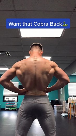 Get that Cobra Back with These Exercises!