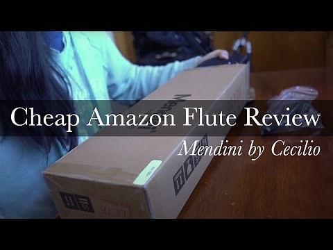 Cheap Amazon Flute Under $100 - Review + Unboxing [Mendini by Cecilio]