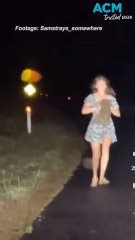 'Wombat snatcher' US influencer flees Australia after intense public backlash
