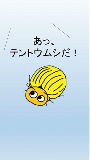 植物防疫官なら分かる テントウムシ？ハムシ？編