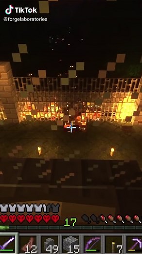 THEY’RE IN #forgelabs #minecraft #minecraftchallenge #minecraftmemes #minecraftzombie