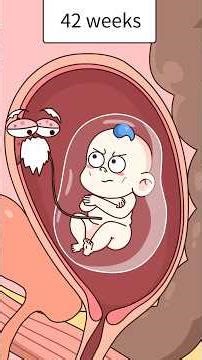 Why do newborns sometimes look wrinkled and like old people? #Shorts