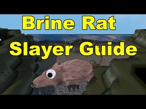 Brine Rat Slayer Task Guide + Raw Shark Method For HCIM/IM