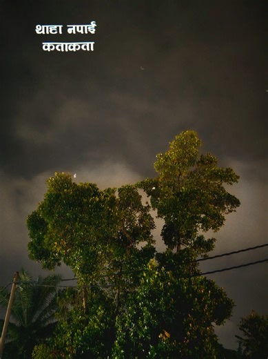 Exploring Nature's Beauty Through Music with CapCut