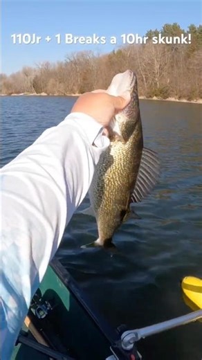 Can always rely on a megabass vision 110 jr+1 in cold water!