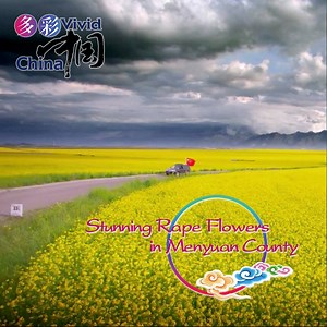 36K views · 192 shares | This beautiful man-made landscape in Menyuan...