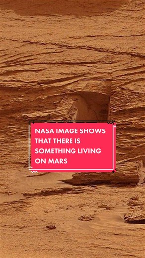 NASA Image Proves That Something Is Living On Mars #mars #alien #conspiracy #mystery #lifeonmars
