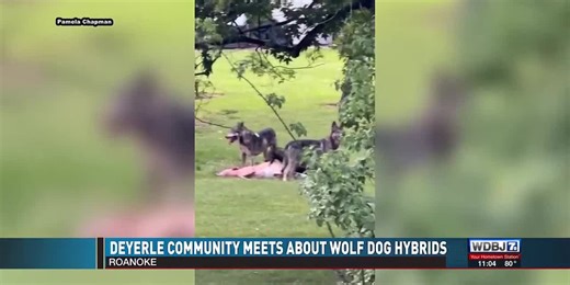 Roanoke Community Meets About Wolf Dog Hybrids