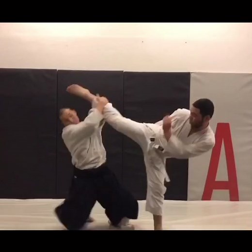 Mastering Mavashi Geri Technique in Aikido