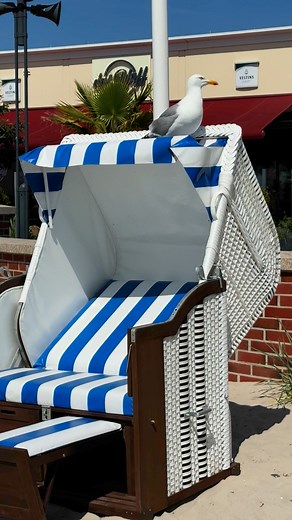 Die "Neuen Strandkörbe" sind einfach super bequem 🤩🤩🤩 #Strand #Strandliebe #Strandkorb # unbezahlte Werbung | Haus am Hügel